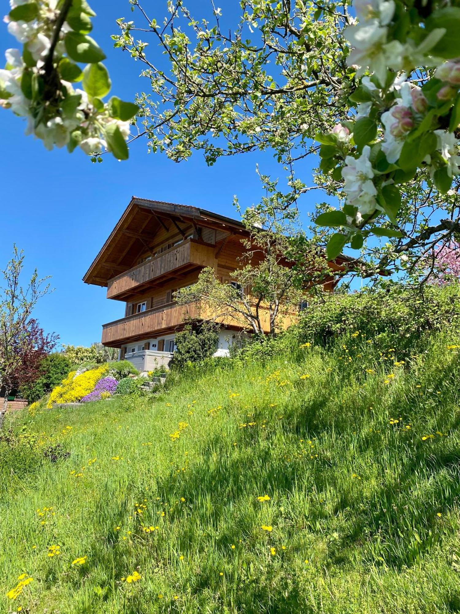 Chalet Egglen "Typical Swiss House, Best Views, Private Jacuzzi" 지그리스빌 외부 사진