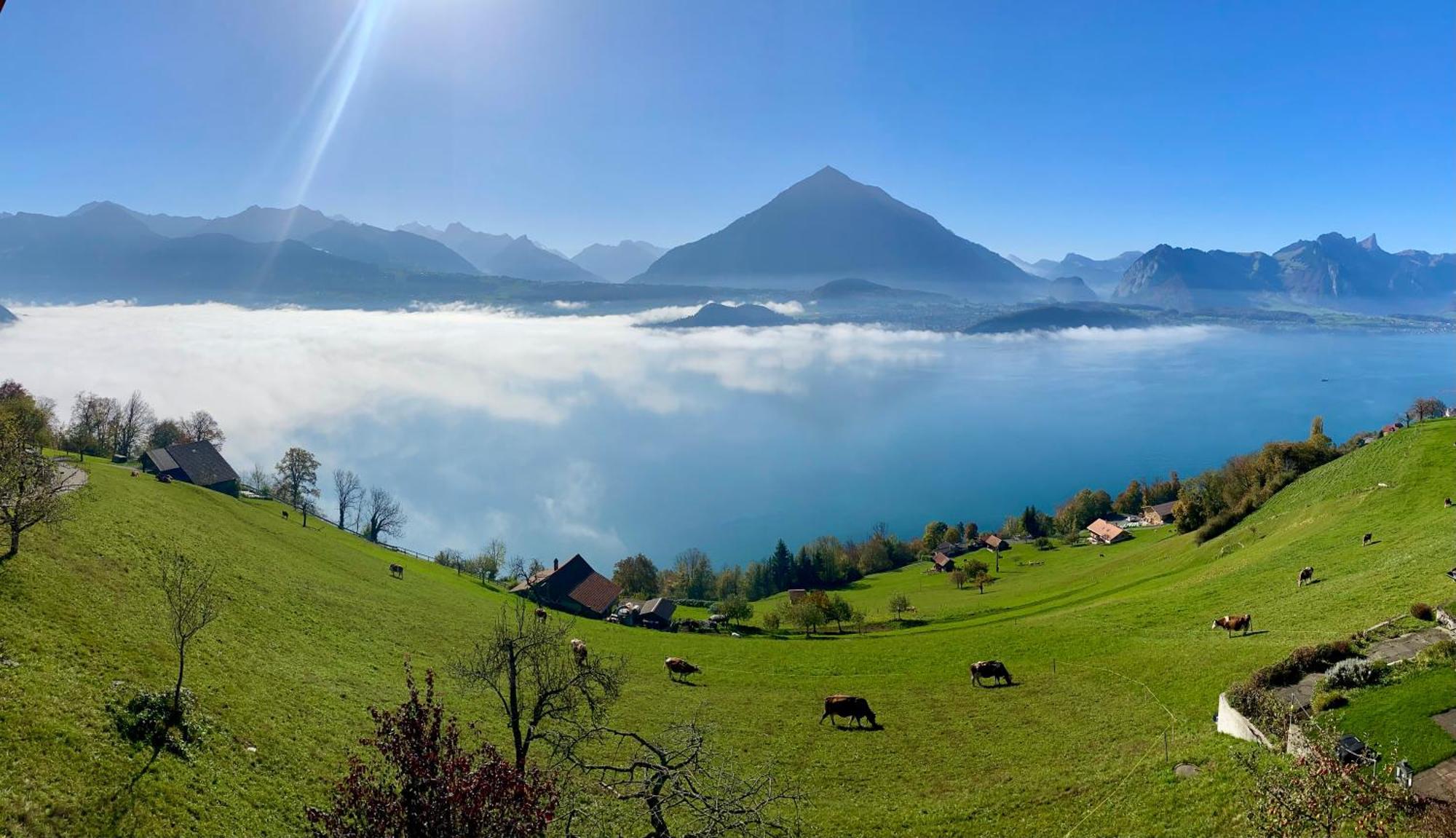 Chalet Egglen "Typical Swiss House, Best Views, Private Jacuzzi" 지그리스빌 외부 사진