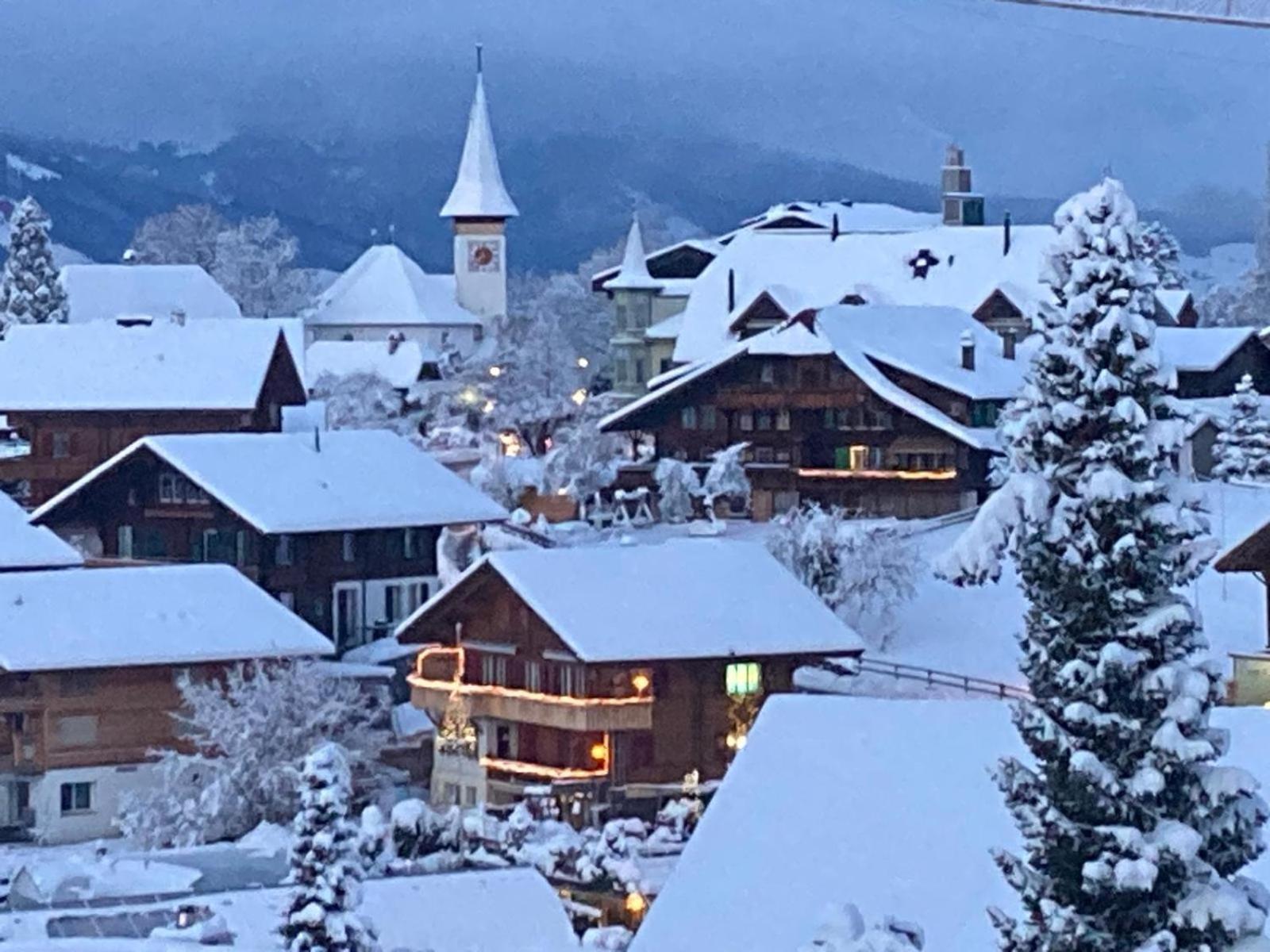 Chalet Egglen "Typical Swiss House, Best Views, Private Jacuzzi" 지그리스빌 외부 사진