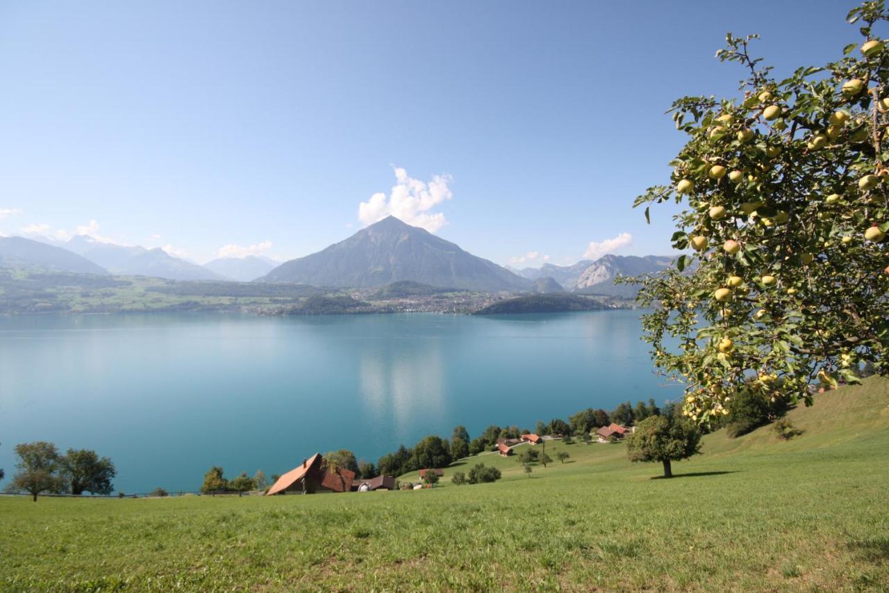 Chalet Egglen "Typical Swiss House, Best Views, Private Jacuzzi" 지그리스빌 외부 사진