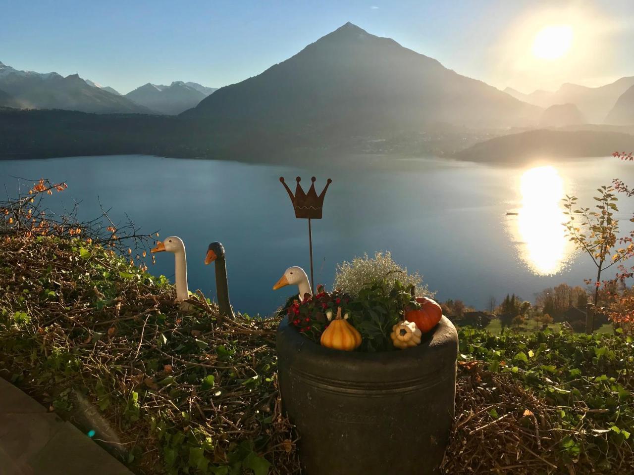 Chalet Egglen "Typical Swiss House, Best Views, Private Jacuzzi" 지그리스빌 외부 사진
