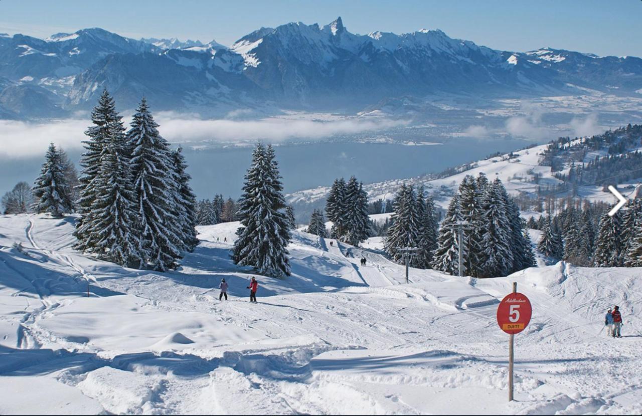Chalet Egglen "Typical Swiss House, Best Views, Private Jacuzzi" 지그리스빌 외부 사진