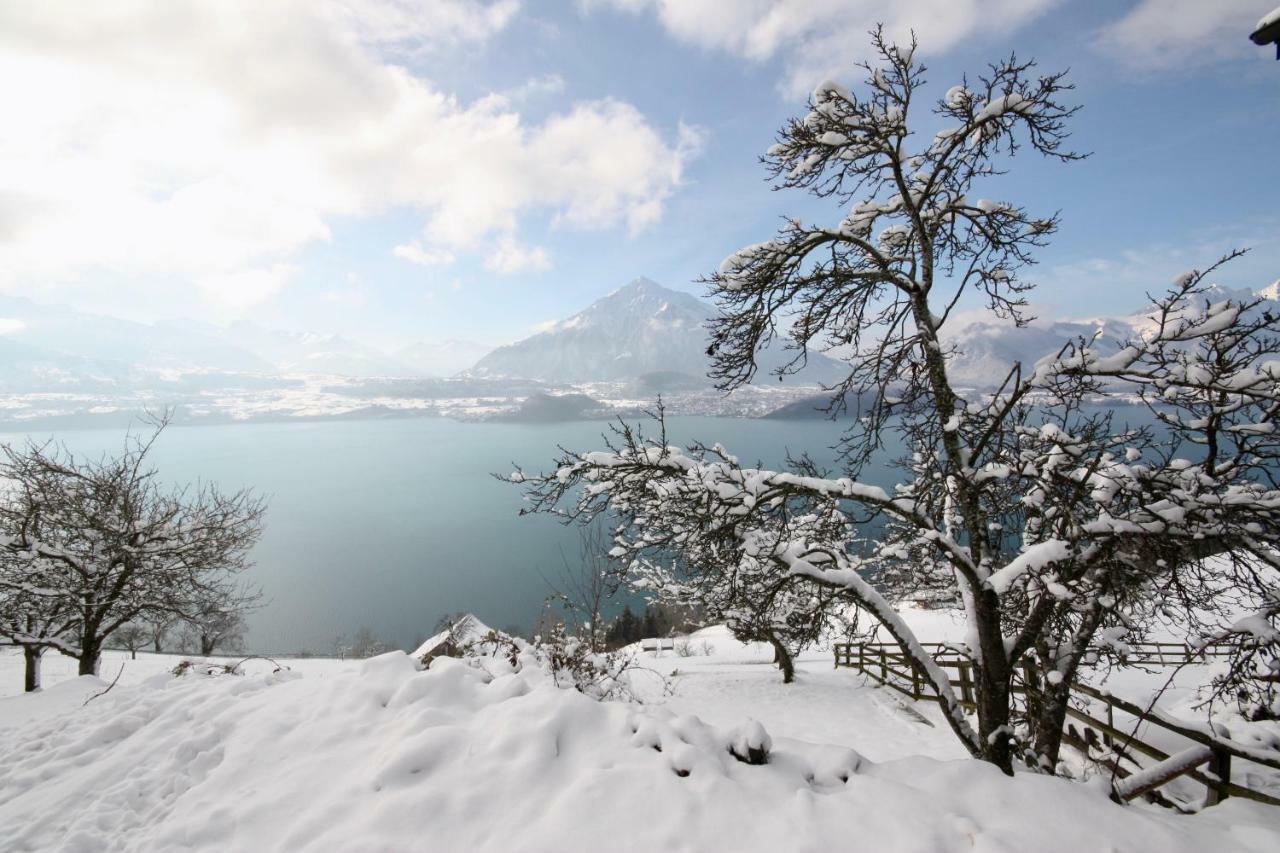 Chalet Egglen "Typical Swiss House, Best Views, Private Jacuzzi" 지그리스빌 외부 사진