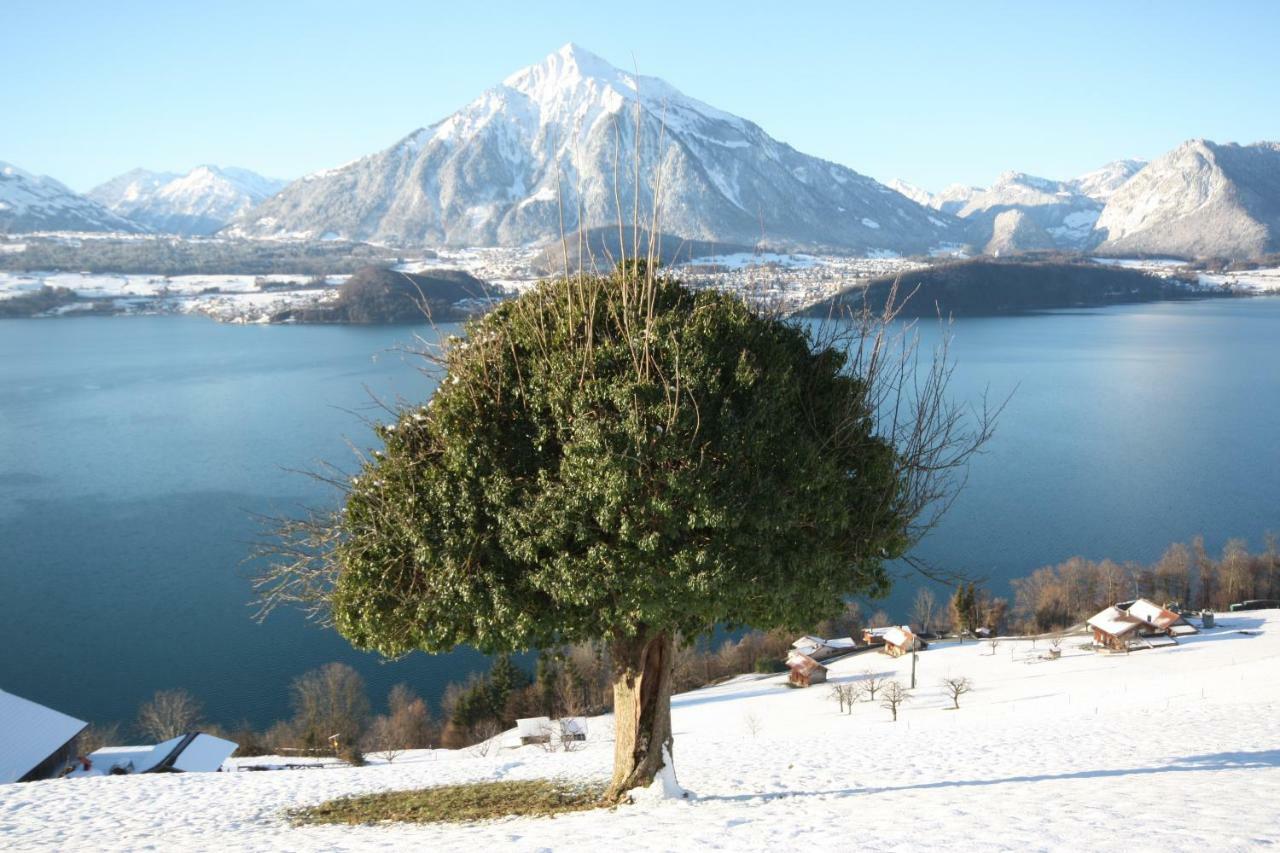 Chalet Egglen "Typical Swiss House, Best Views, Private Jacuzzi" 지그리스빌 외부 사진