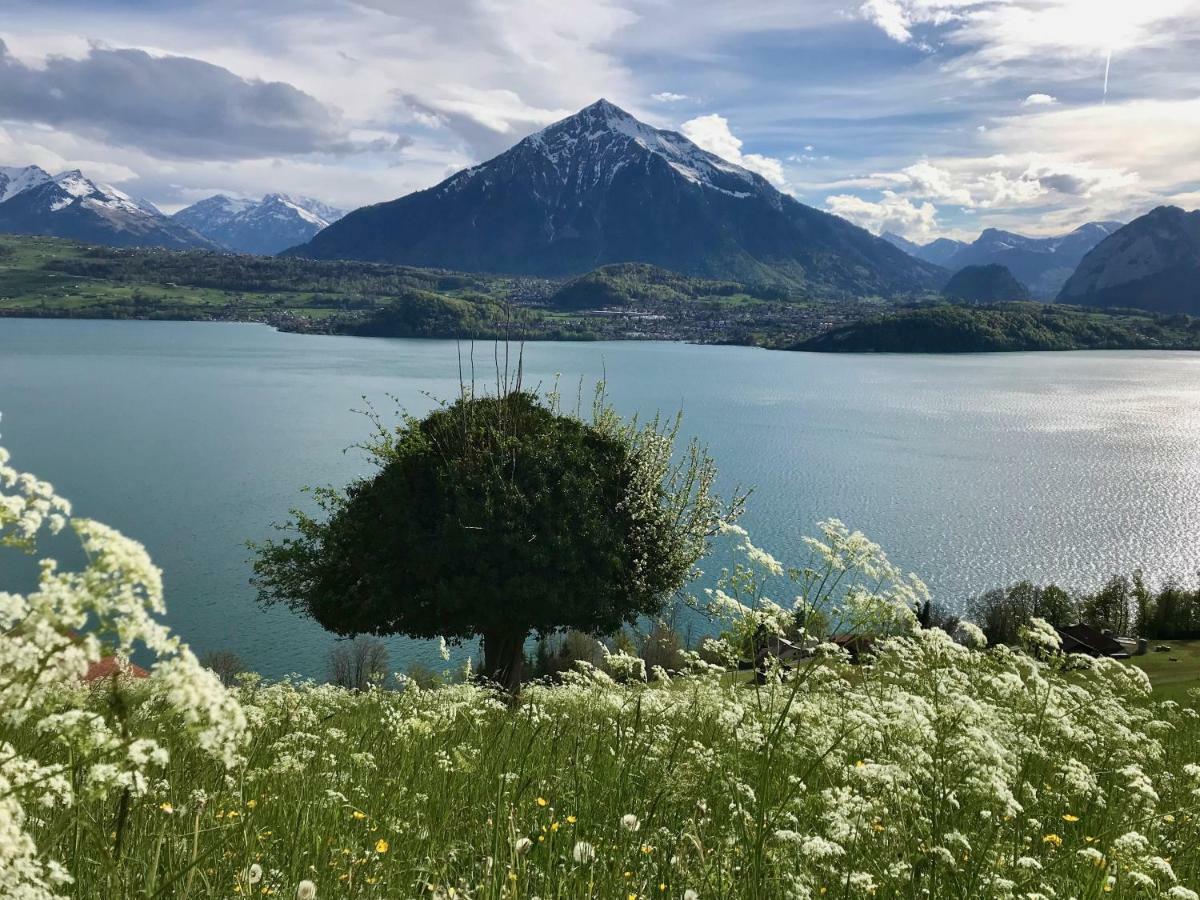Chalet Egglen "Typical Swiss House, Best Views, Private Jacuzzi" 지그리스빌 외부 사진